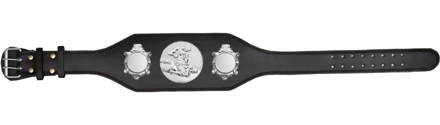 MMA CHAMPIONSHIP BELT-BUD003/S/MMAS-4 COLOURS